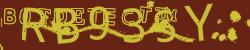 Retype the CAPTCHA code from the image